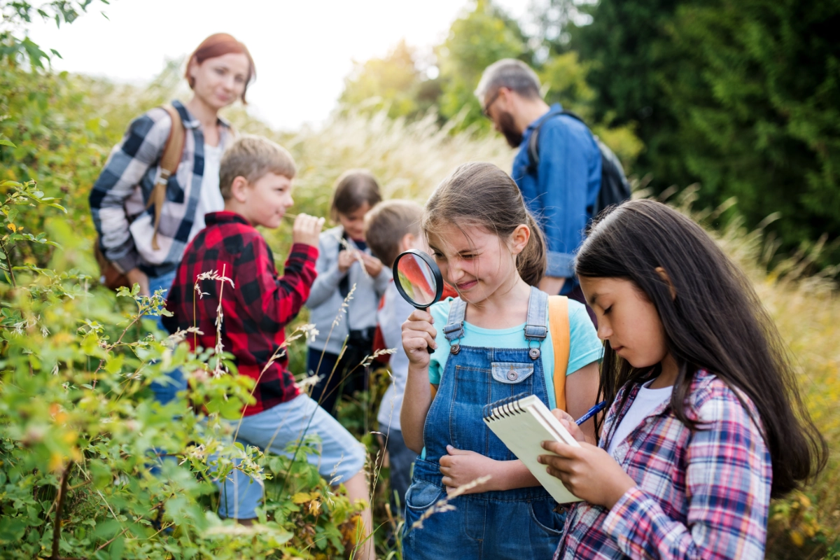 Kids At Day Camp In Park Exploring Bugs 1200X800