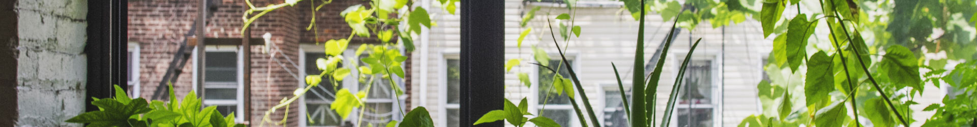 NYC Brooklyn 009 1920X250