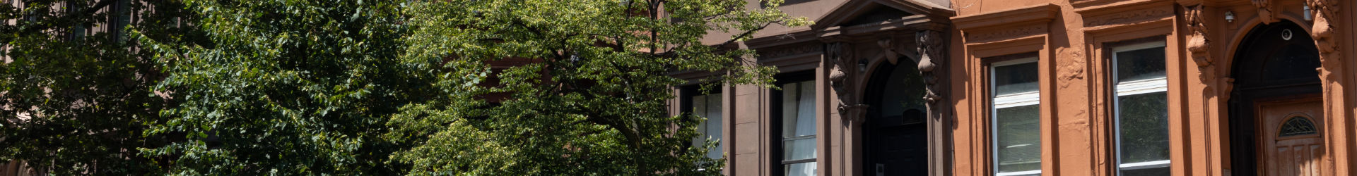 NYC Brooklyn 007 1920X250