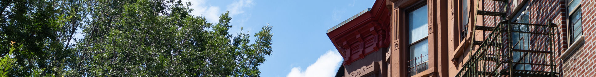 NYC Brooklyn 005 1920X250