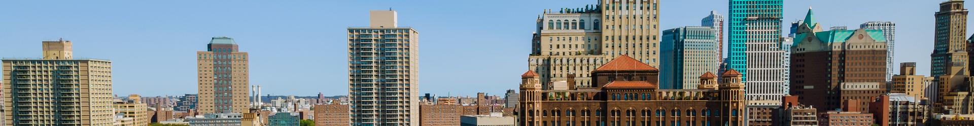 Brooklyn Skyline
