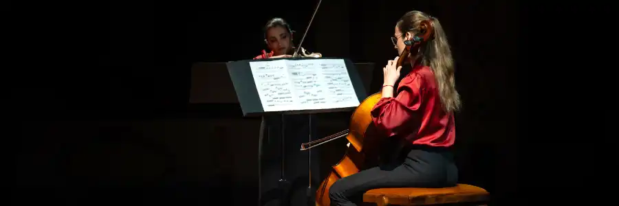 Music Performing Arts 900X300