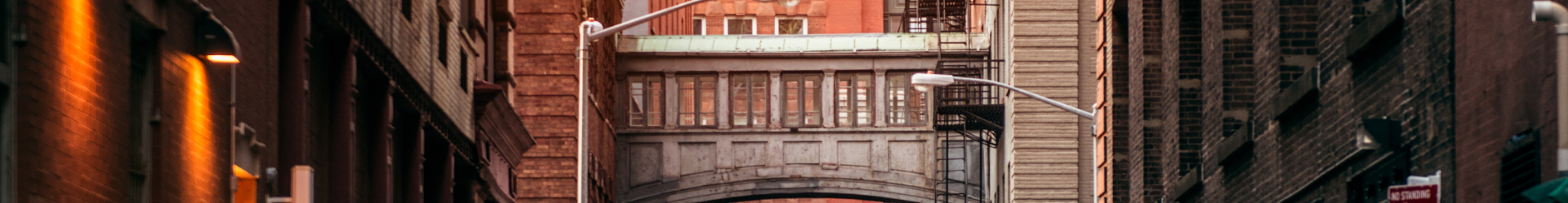 Overhead Walk In Brooklyn