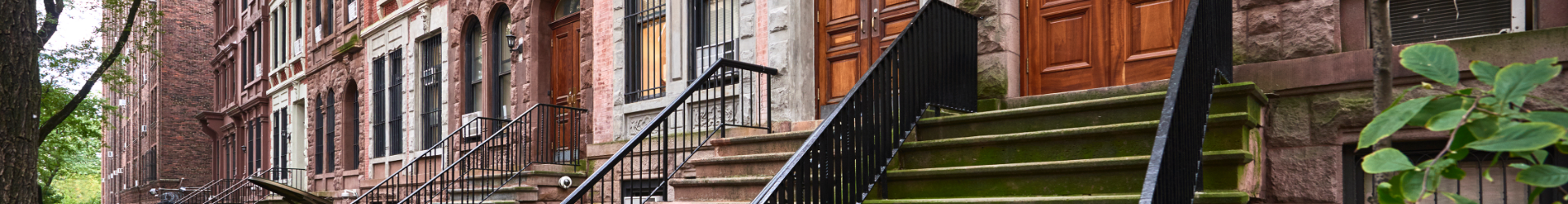 Doorsteps In Brooklyn 1920X480