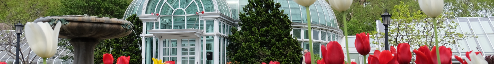 Brooklyn Botanical Gardens 1920X480